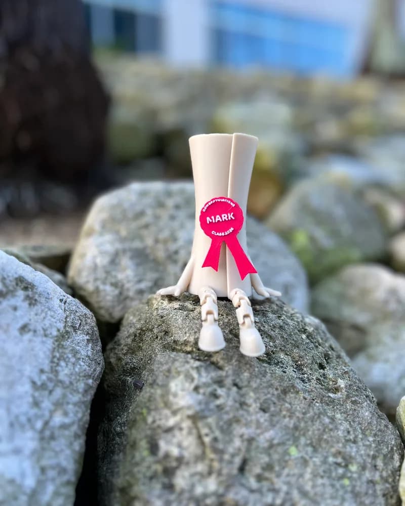 A small white 3D-printed graduate figurine with a personalised ribbon, standing on a rock