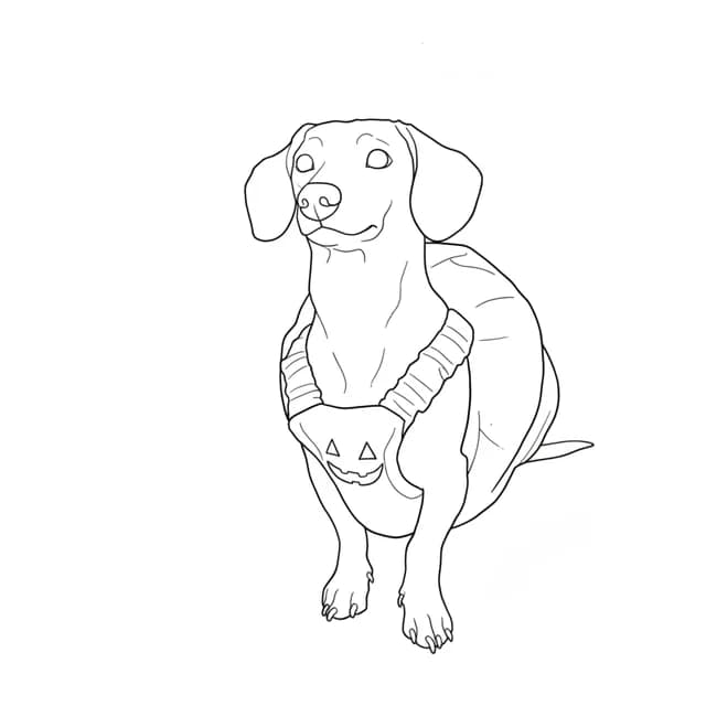 The dachshund drawn as a faithful coloring picture