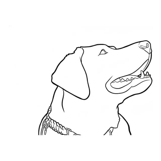 Example: a dog photo drawn as a few big shapes for painting