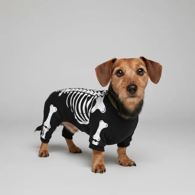 An illustration of a small dog in a black skeleton costume